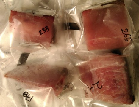 Tuna Fillet Frozen